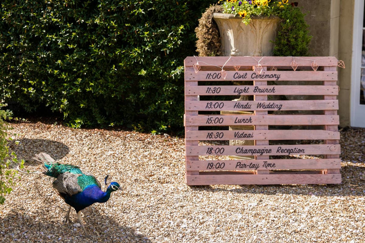 Peacock at Northbrook Park