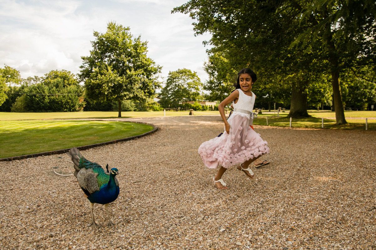 Peacock at Northbrook Park