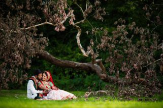 Bride and groom under a tree